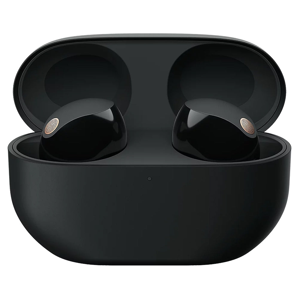 Sony In-Ear True Wireless Earbuds - Black | WF1000XM5BCE7