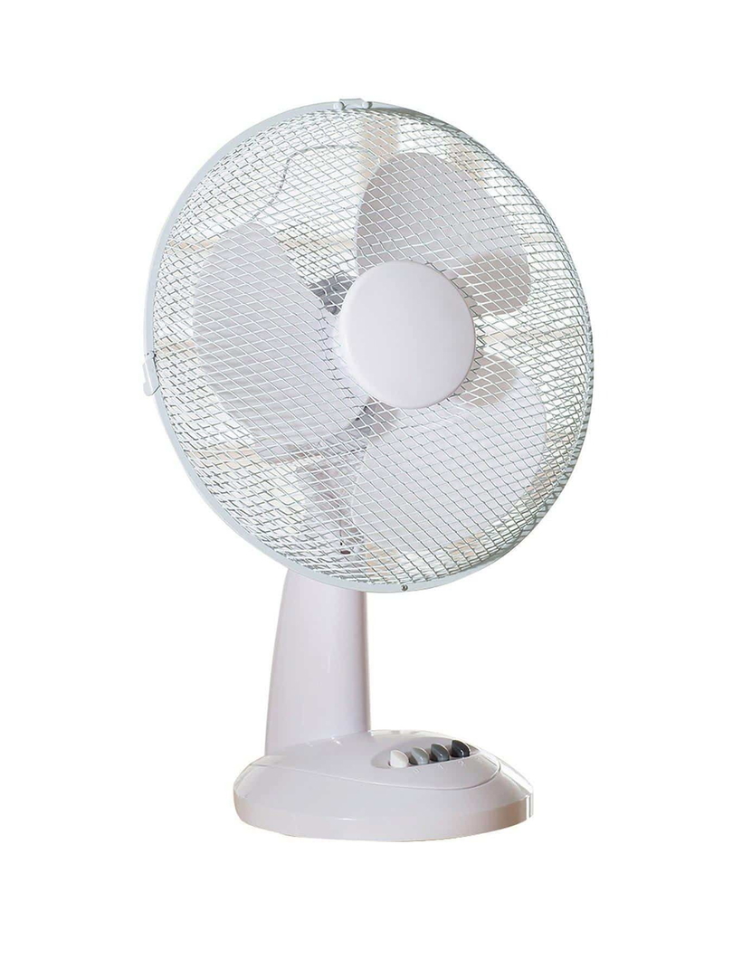 Daewoo 12 Inch Oscillating Desk Fan | White