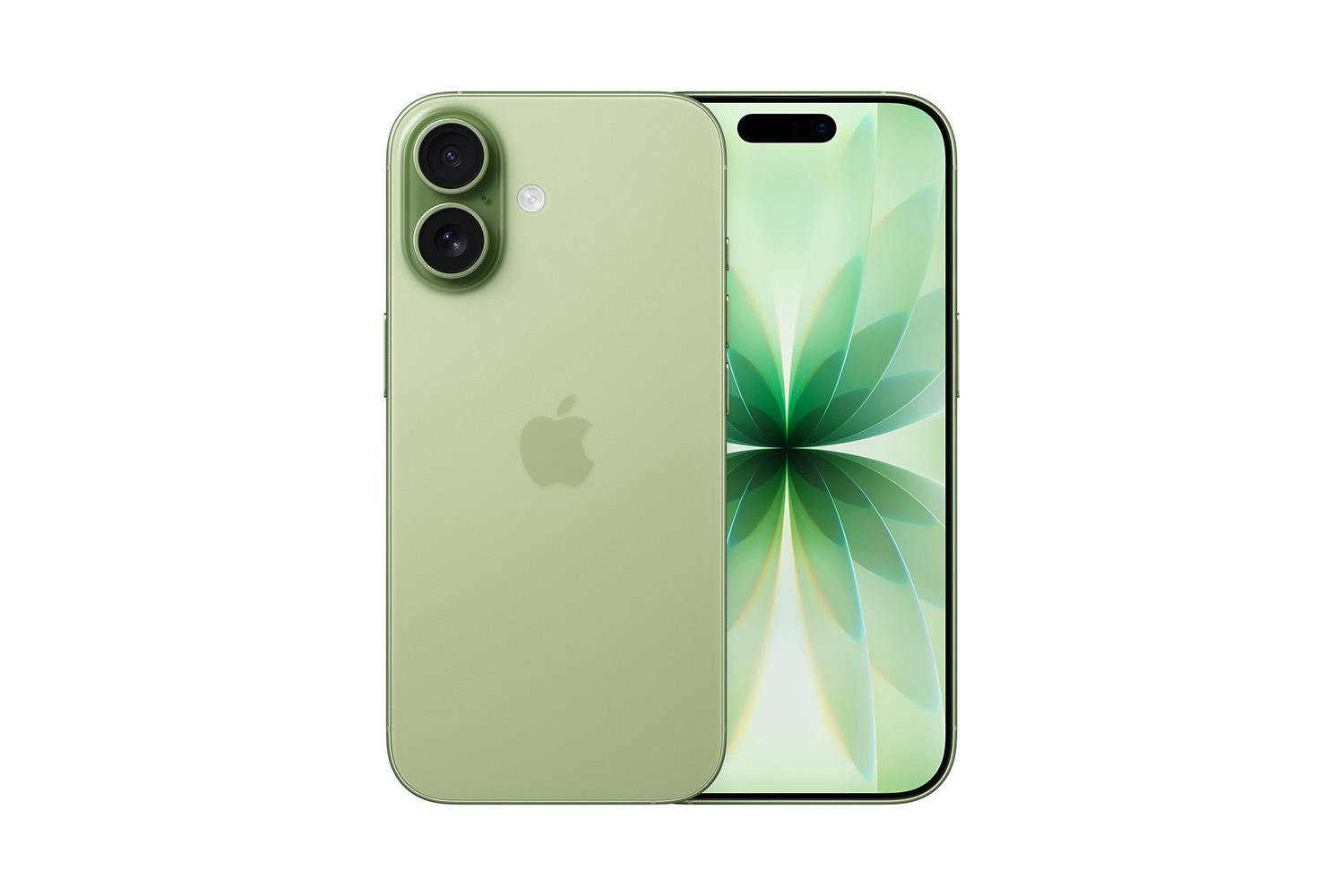iPhone 17 | 5G | 256GB | Sage